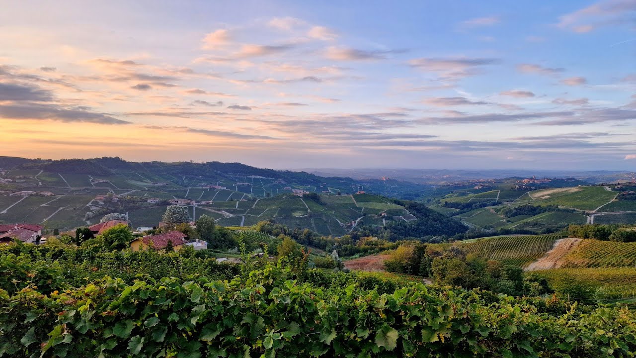 Barolo - Piedmont