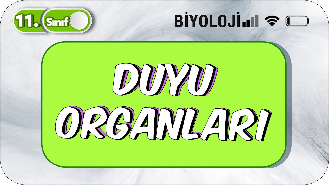 Duyu Organları | Tek Videoda Anlatım | 11. Sınıf Biyoloji  #2023