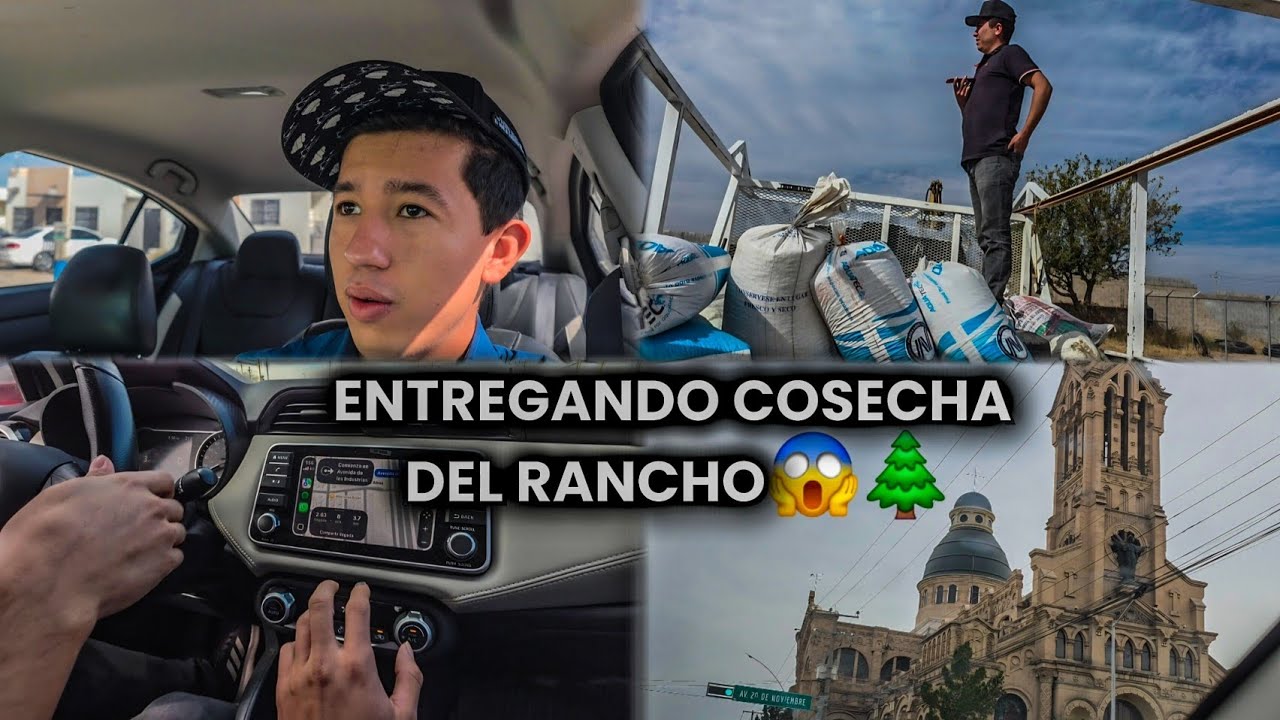 ENTREGANDO COSECHA RECIEN TRAIDA DE LA SIERRA😱🌲