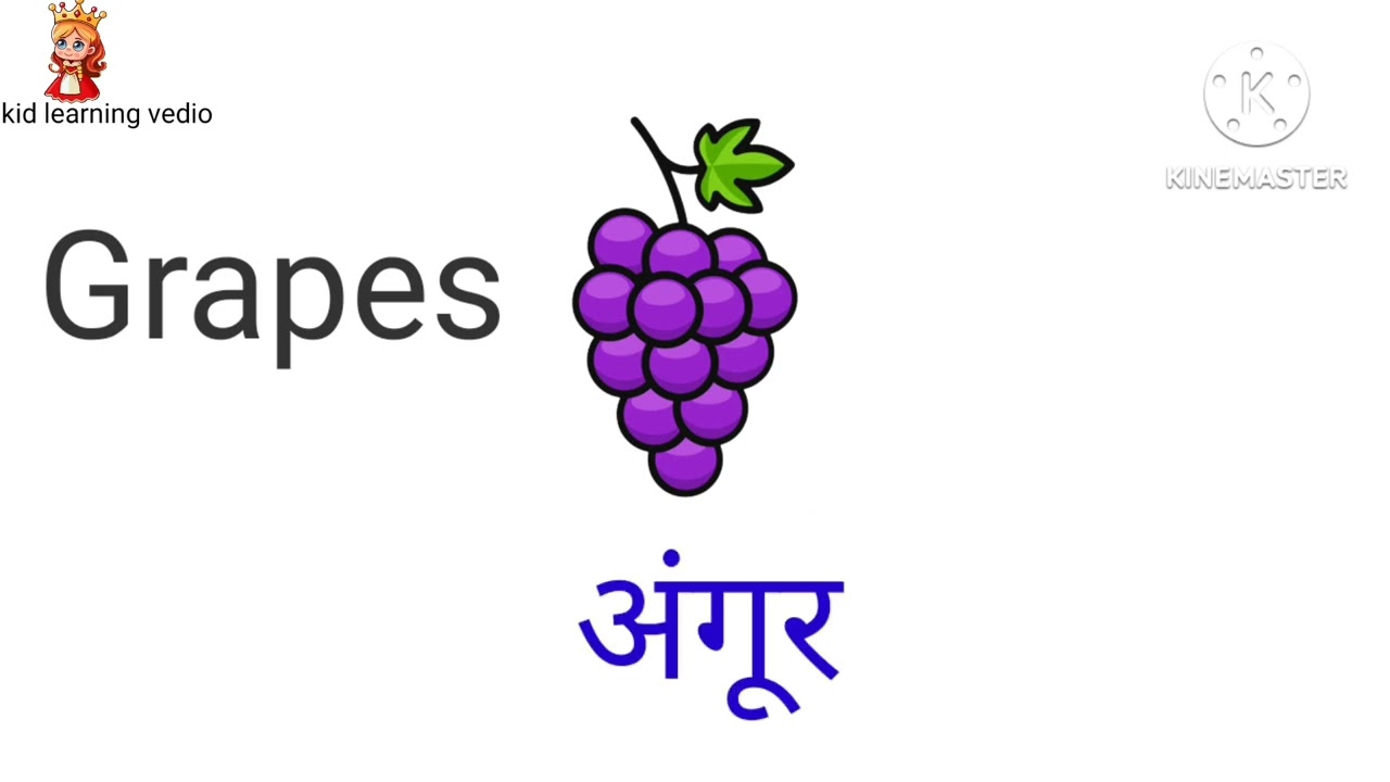 Fruits Name with pdf| 20 Fruits name for nursery, lkg,ukg class |20 fruits name in english & hindi