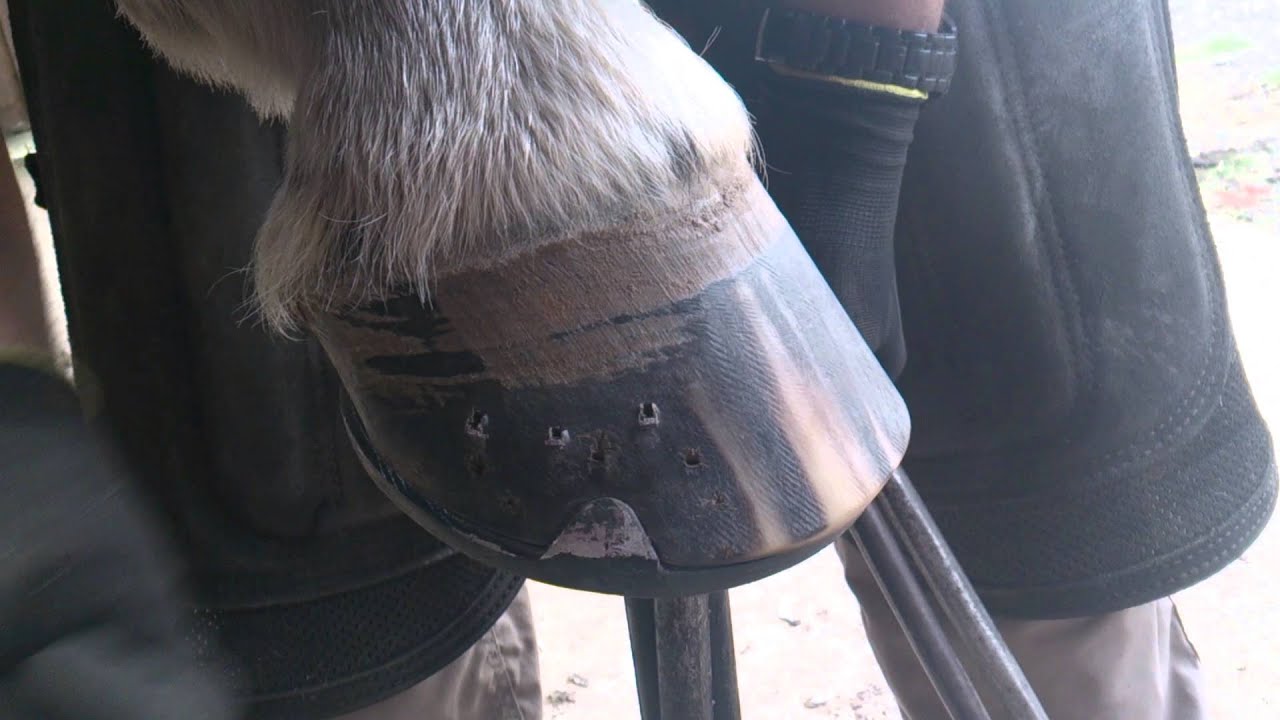 Farriery: My Preferred Clenching Method