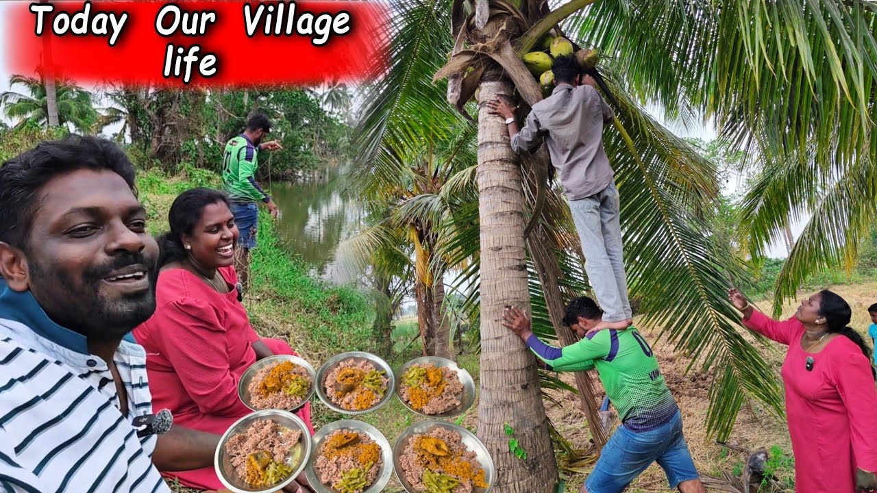 மீன் பிடிக்க சென்று ஏமாற்றமாக போய்விட்டது | Our Village lifestyle ♥️ | vanni vlog 