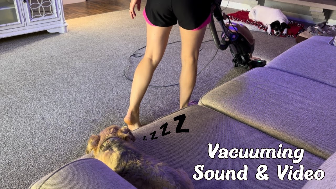 Relaxing Vacuuming That Puts My Dogs to Sleep | Vacuuming Sound & Video For Deep Sleep