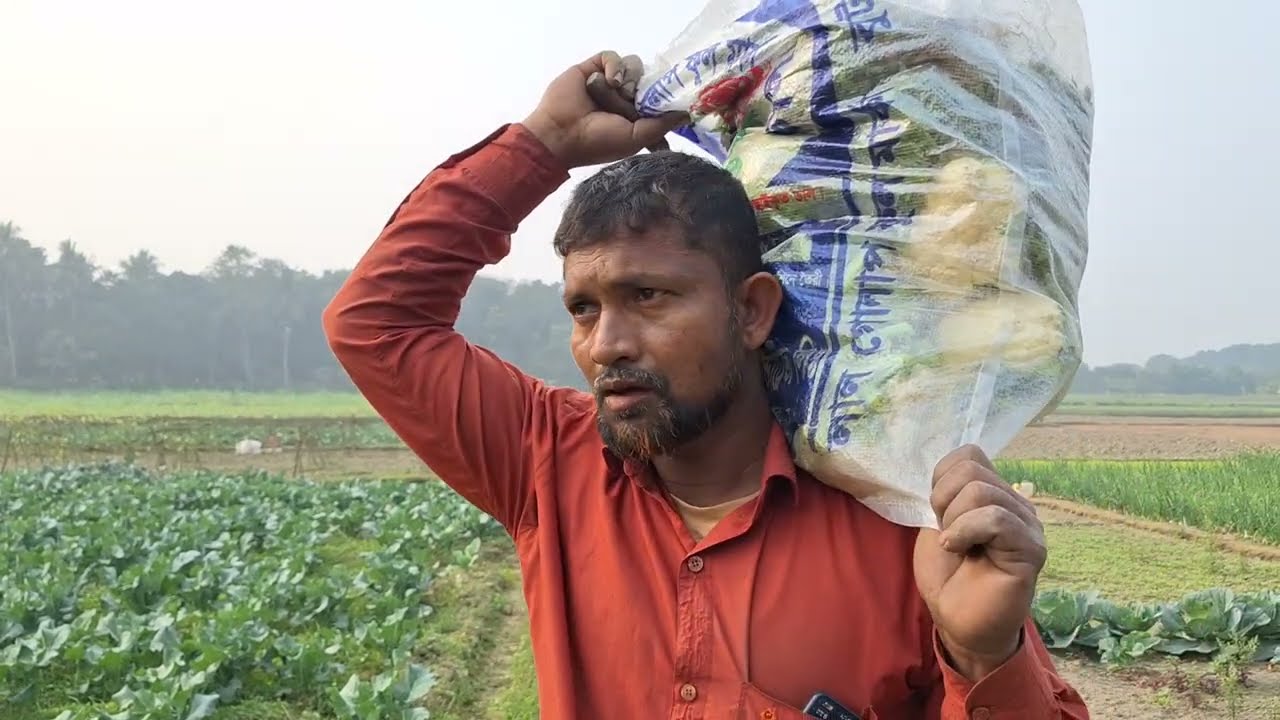 সরাসরি ক্ষেত থেকে লাউ ও শাক কিনলাম || ক্ষেতের সবজি কিনলাম ২০২৬