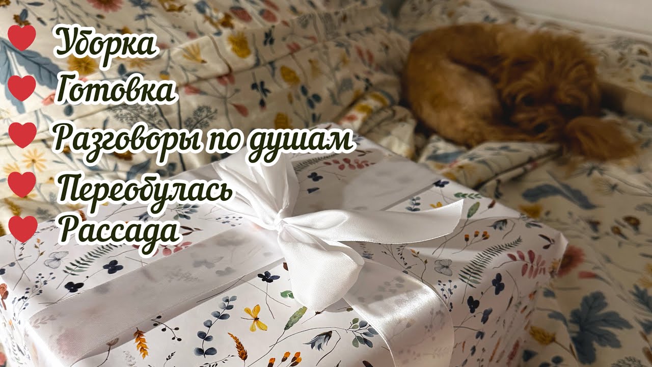 Почти ТИХИЙ ВЛОГ и Мотивация на уборку