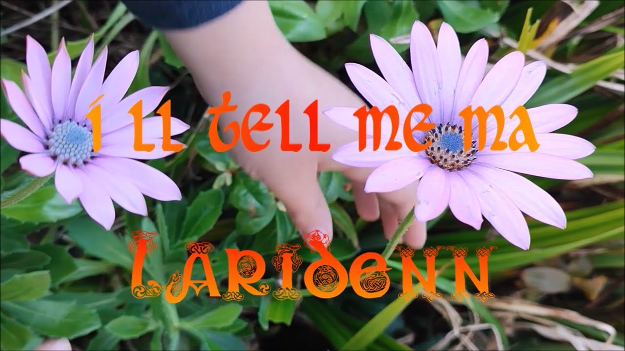 I'll tell me ma - Laridenn