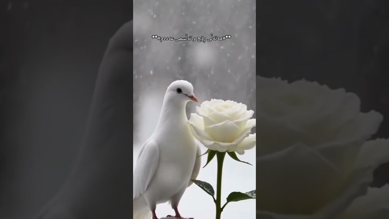 **«مەتەڵی ڕۆح و تەڵسمی عەدەم»** (شیعری دێرە)