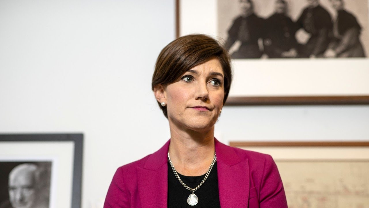 Nicolle Flint 'hit back at the ABC' last night in parliament