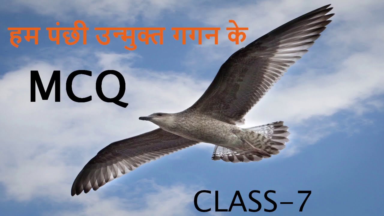 हम पंछी उन्मुक्त गगन के  II CLASS- 7 II MCQ II HINDI  II CHAPTER -1