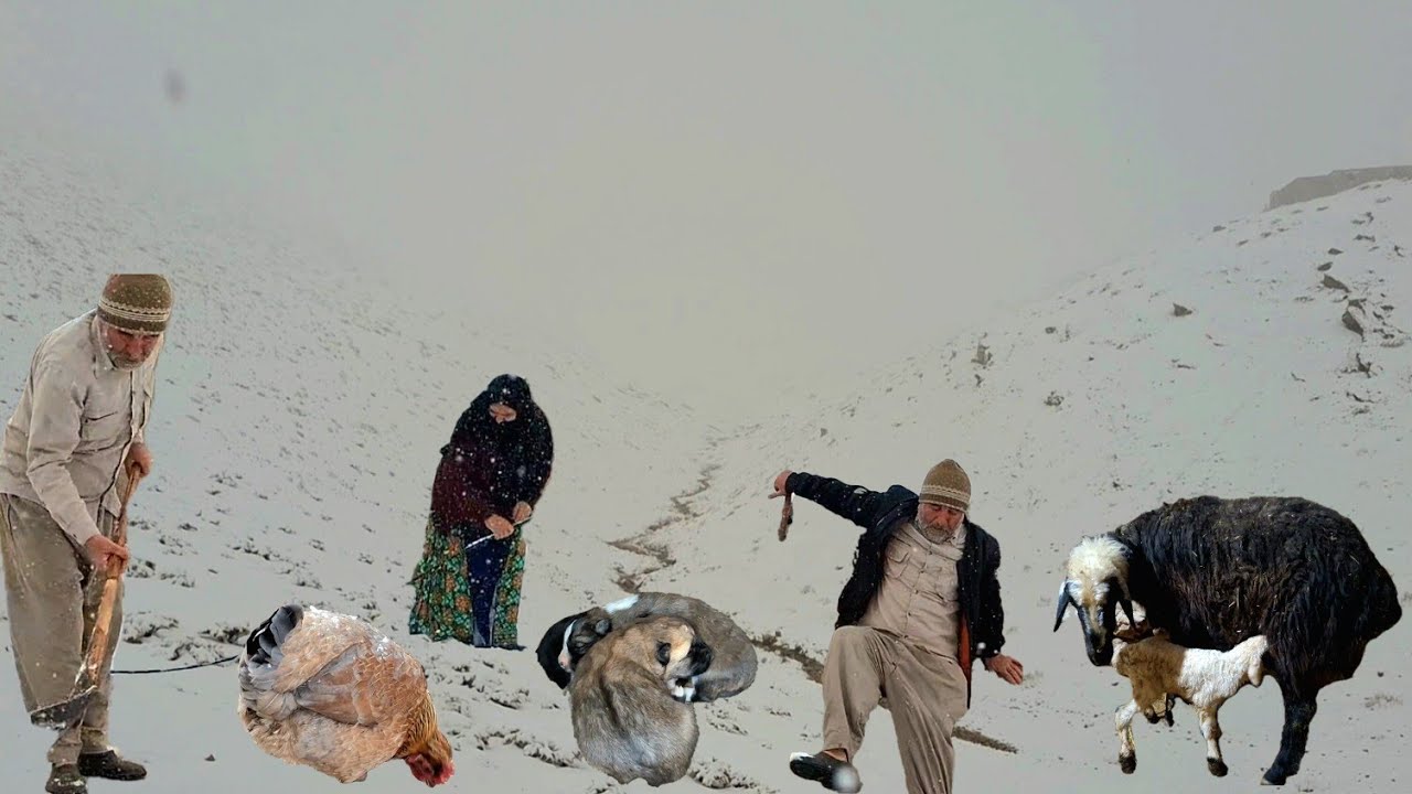 Nomadic life in the mountains | Surviving the heavy snow and deadly cold of winter