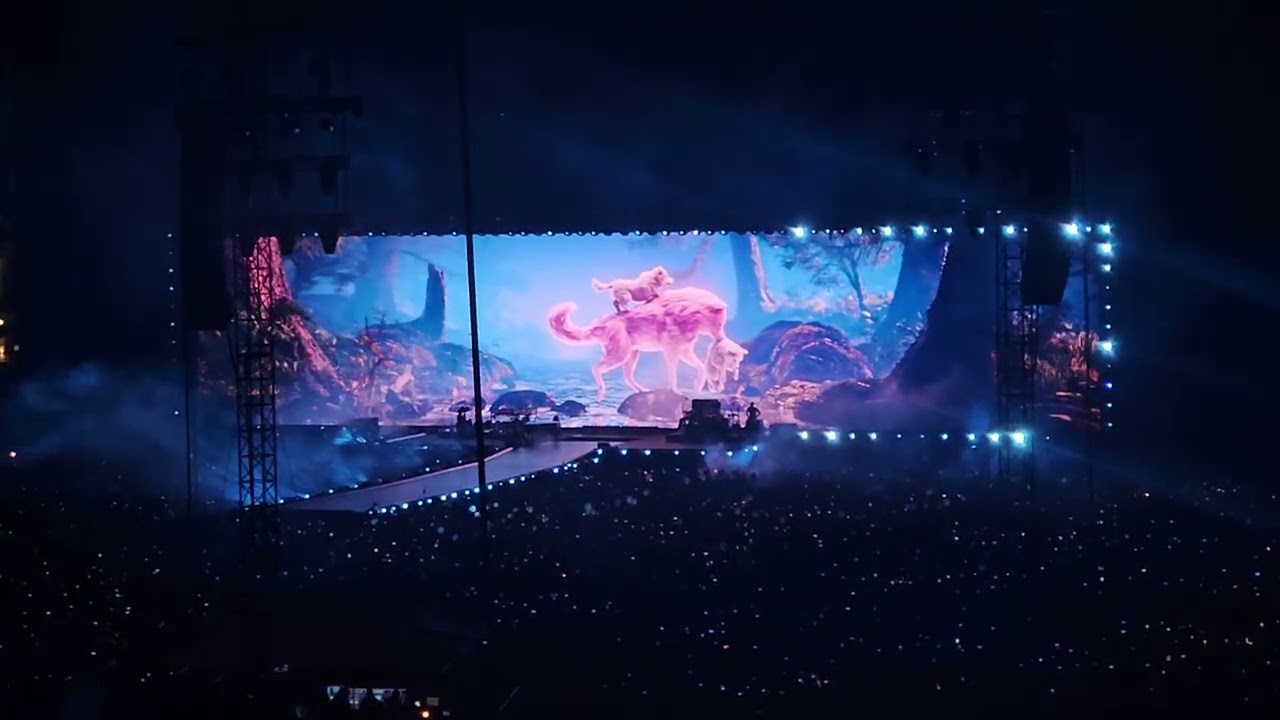 Shakira - Acróstico