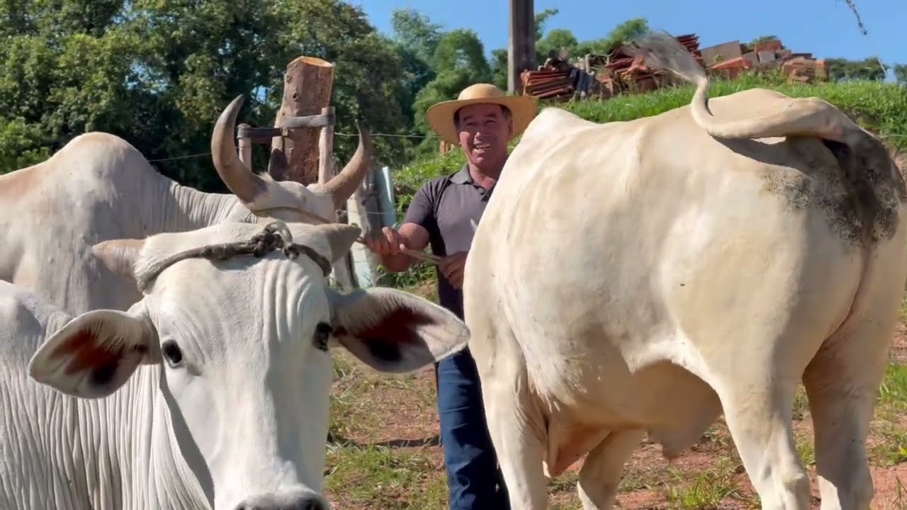 NOSSA VISITA AO AMIGO JACOZINHO 