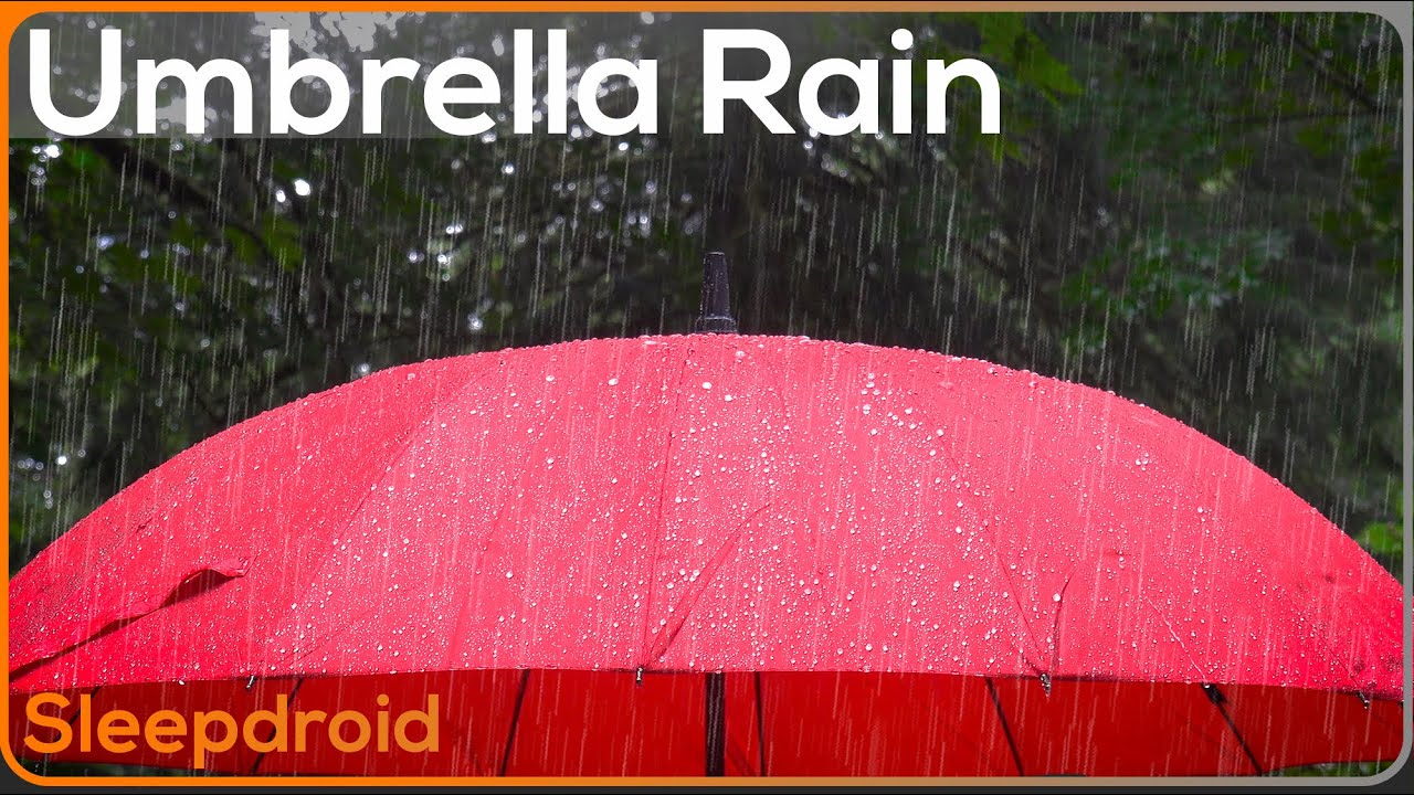 ► Rain on an Umbrella ~Rain Sounds for Sleeping to Help You Fall Asleep Fast (Lluvia Para Dormir)
