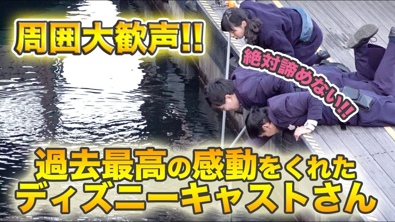 大歓声!! 過去最高の感動をくれたキャストさんの救出劇  /  東京ディズニーシー