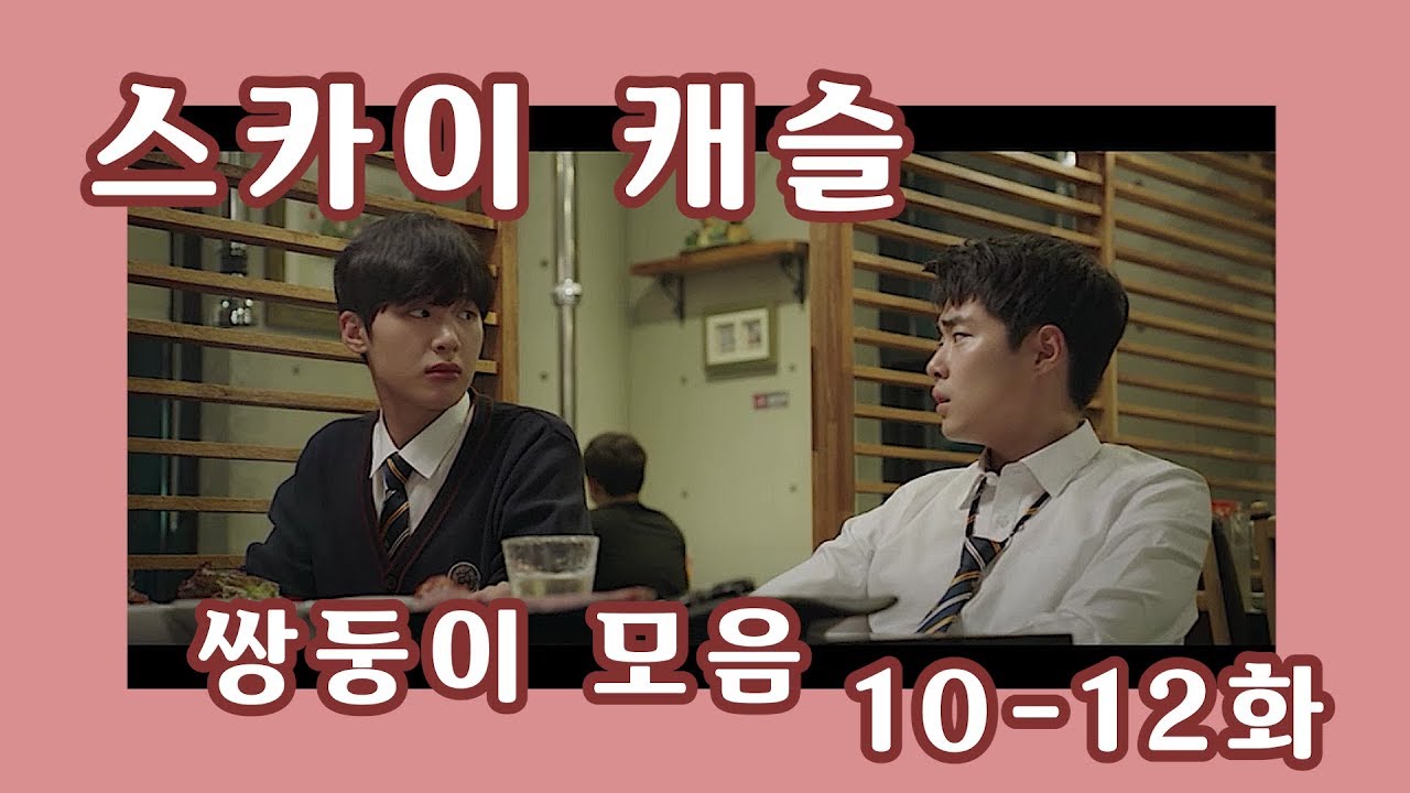 드라마 추천  / 스카이 캐슬 쌍둥이 차서준 차기준 모음 10-12화