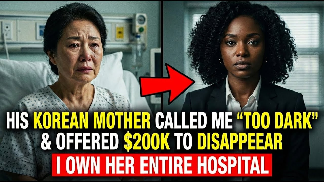 His Korean Mother Called Me 'Too Dark' and Offered Me $200K to Disappear—I Own Her Entire Hospital
