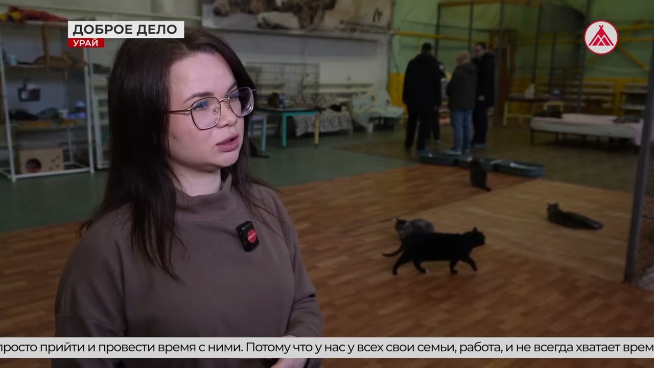Благотворительная акция СМС ТПП УНГ в приюте для кошек Урая. 15-12-2025