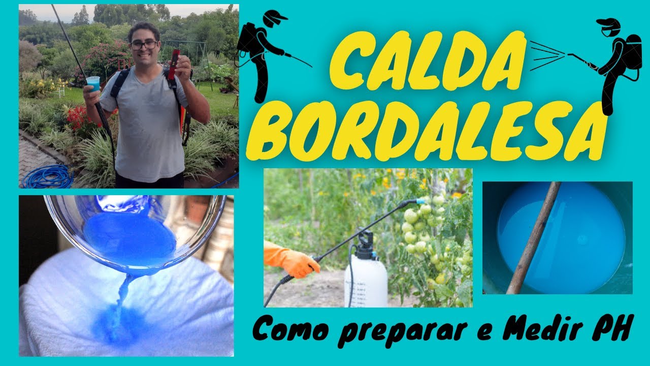 Calda Bordalesa | Passo a Passo | Medir PH e com Usar Corretamente