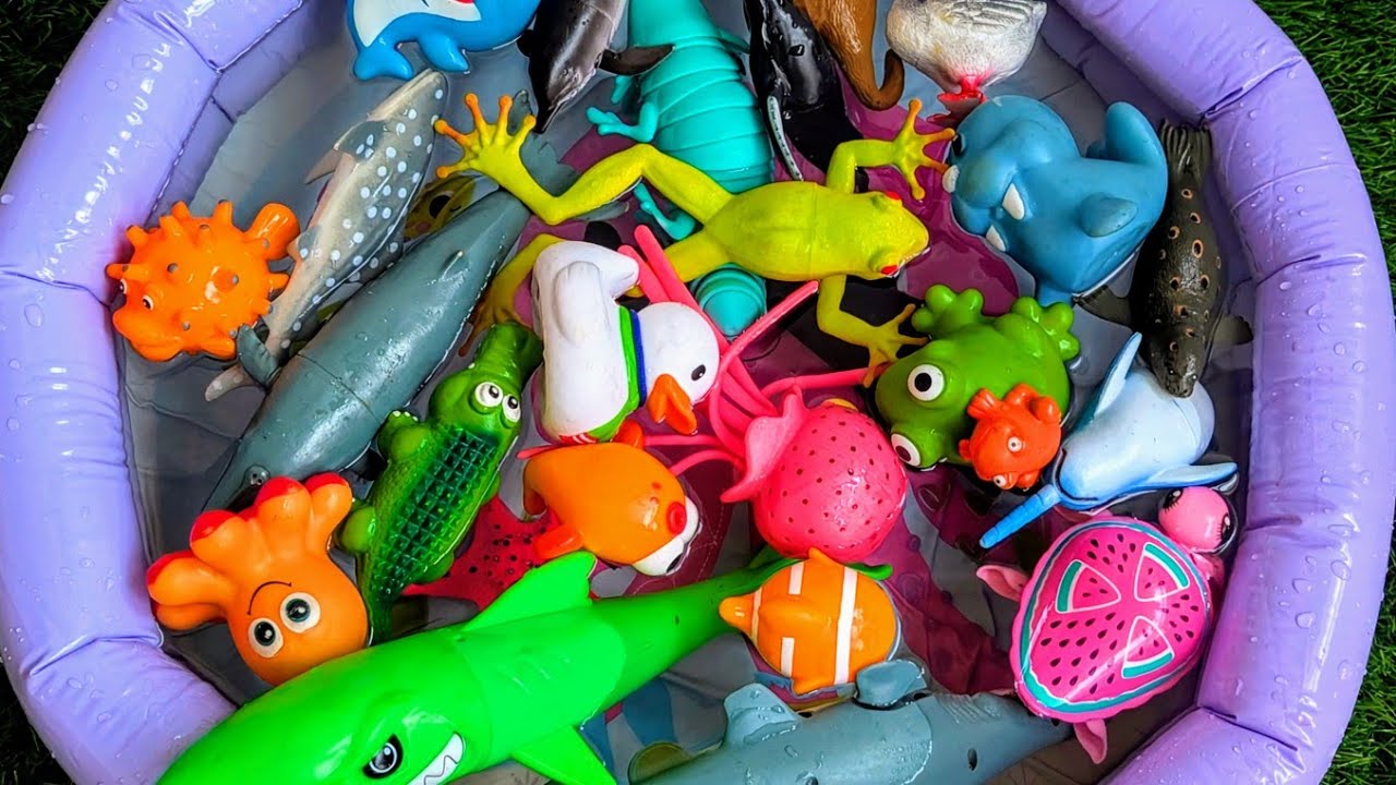 Sea Animal Toys for Kids | Learn Ocean Animal Names & Fun Facts for Preschoolers