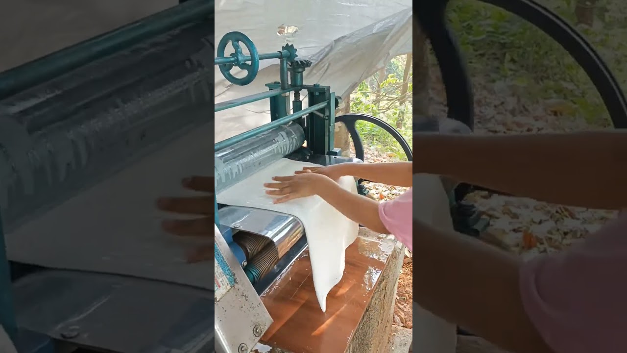 rubber sheet making #shorts #hilltopshorts #foodblogger #rubbersheet