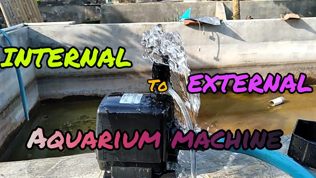 INTERNAL TO EXTERNAL AQUARIUM MACHINE