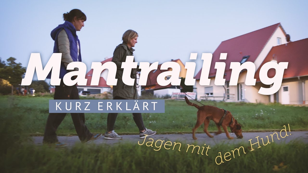 Mantrailing – Kurz erklärt von Mira Klatt
