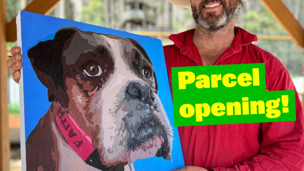 Parcel Opening | BIG Shelter Dogs Living their Best Lives | #germanshepherd #mastiff #pitbull