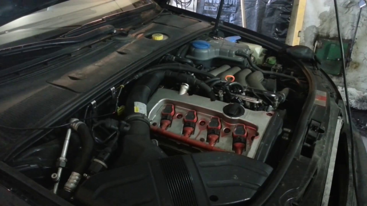 Wymiana oleju i filtra oleju Audi A4 B6 2.0