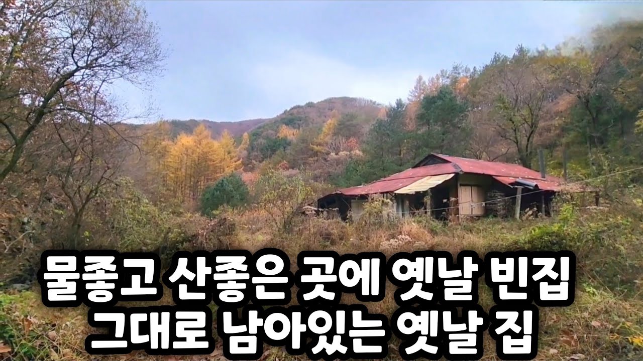 산속에 남겨진 빈집 하나 터좋고 물좋고 산좋은 곳 그냥 방치되고 있네요
