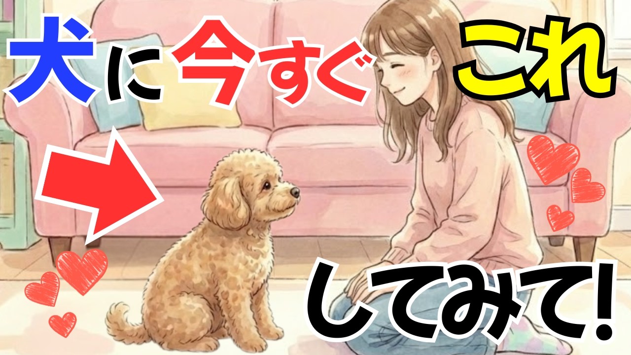【勘違いしてない!?】犬が本気で喜ぶ愛の伝え方１１選｜犬の本音雑学