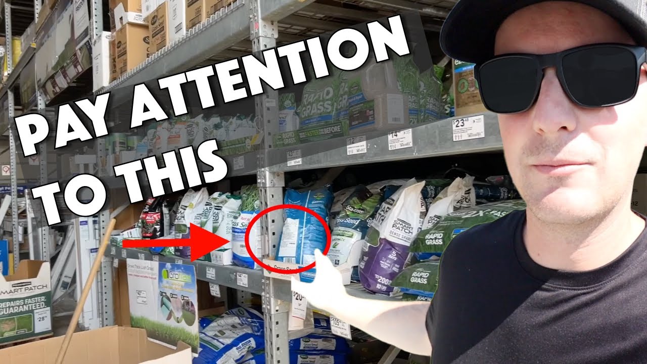 You HAVE TO KNOW THIS About Buying Grass Seed