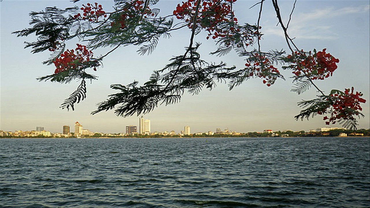 Nhớ về Hà Nội (Hoàng Hiệp) - Nsưt Hồng Vy