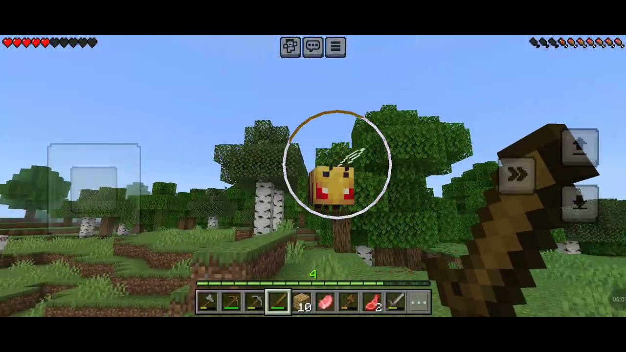Jugando Minecraft
