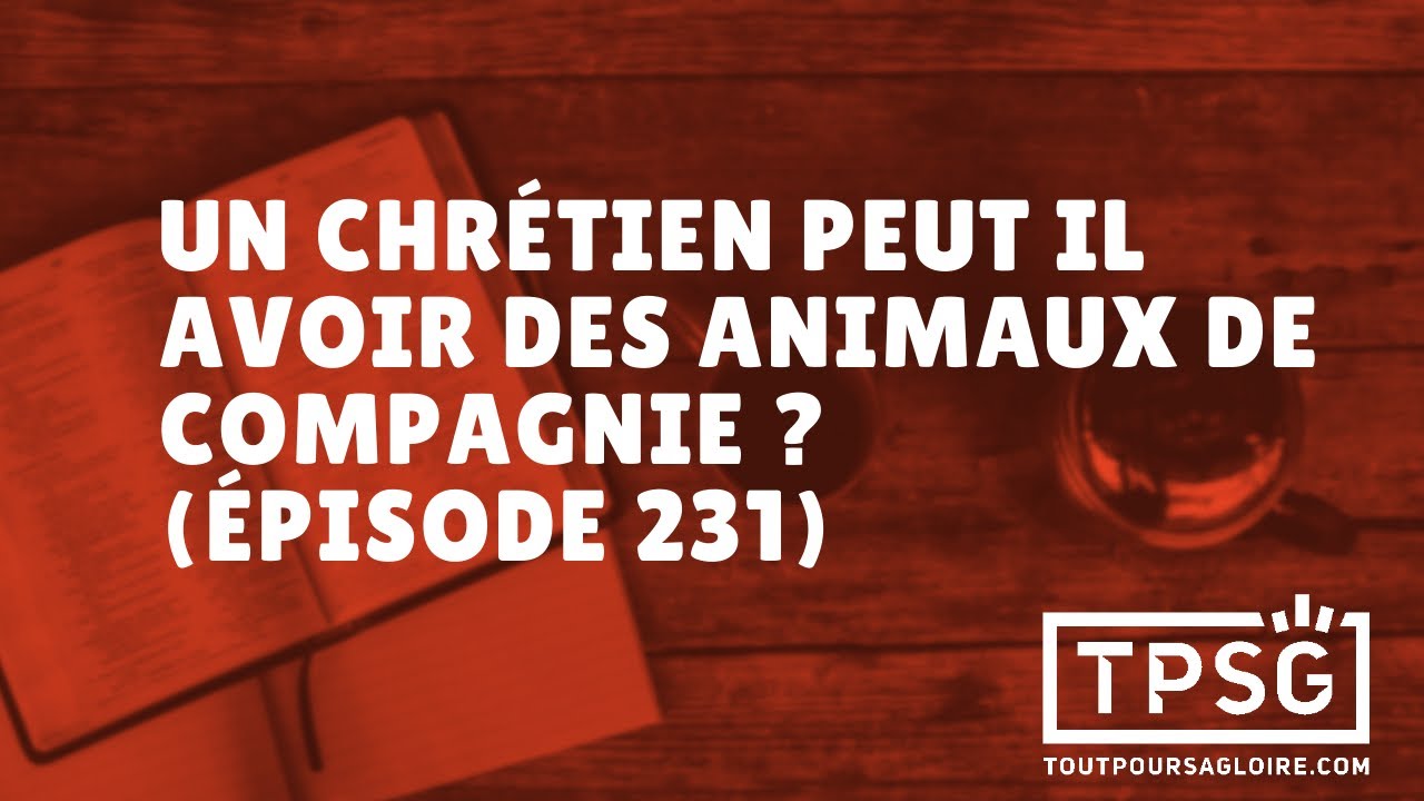 Un chrétien peut-il avoir des animaux de compagnie ? (Épisode 231)