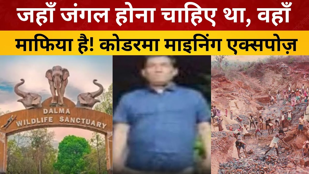 जहाँ जंगल होना चाहिए था, वहाँ माफिया है! कोडरमा माइनिंग एक्सपोज़/ livelagatar news