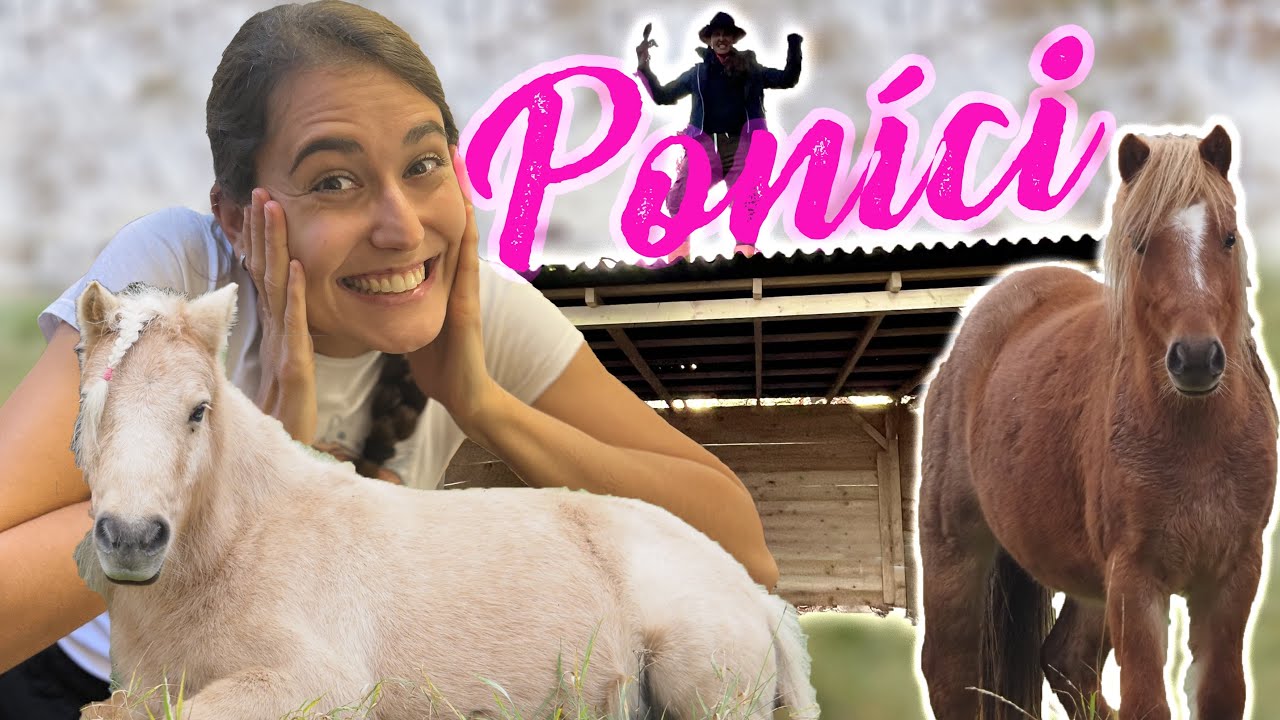Splněný sen ! Pořídila jsem si dva poníky 🦄 | Nový začátek