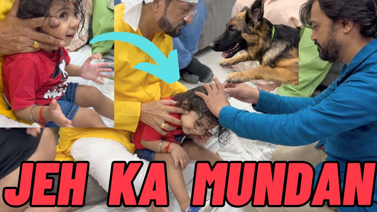 Jeh Ka Kiya Mundan: Jeh Ke Baal Kahan Gaye? Jeh Ko Ganja Dekh Ke Zoey Huyi Pareshaan