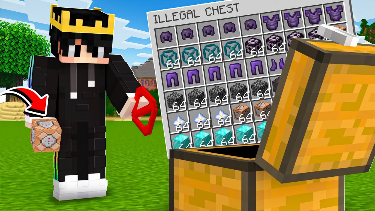 Why I Abused The ILLEGAL Armour in this Minecraft SMP...