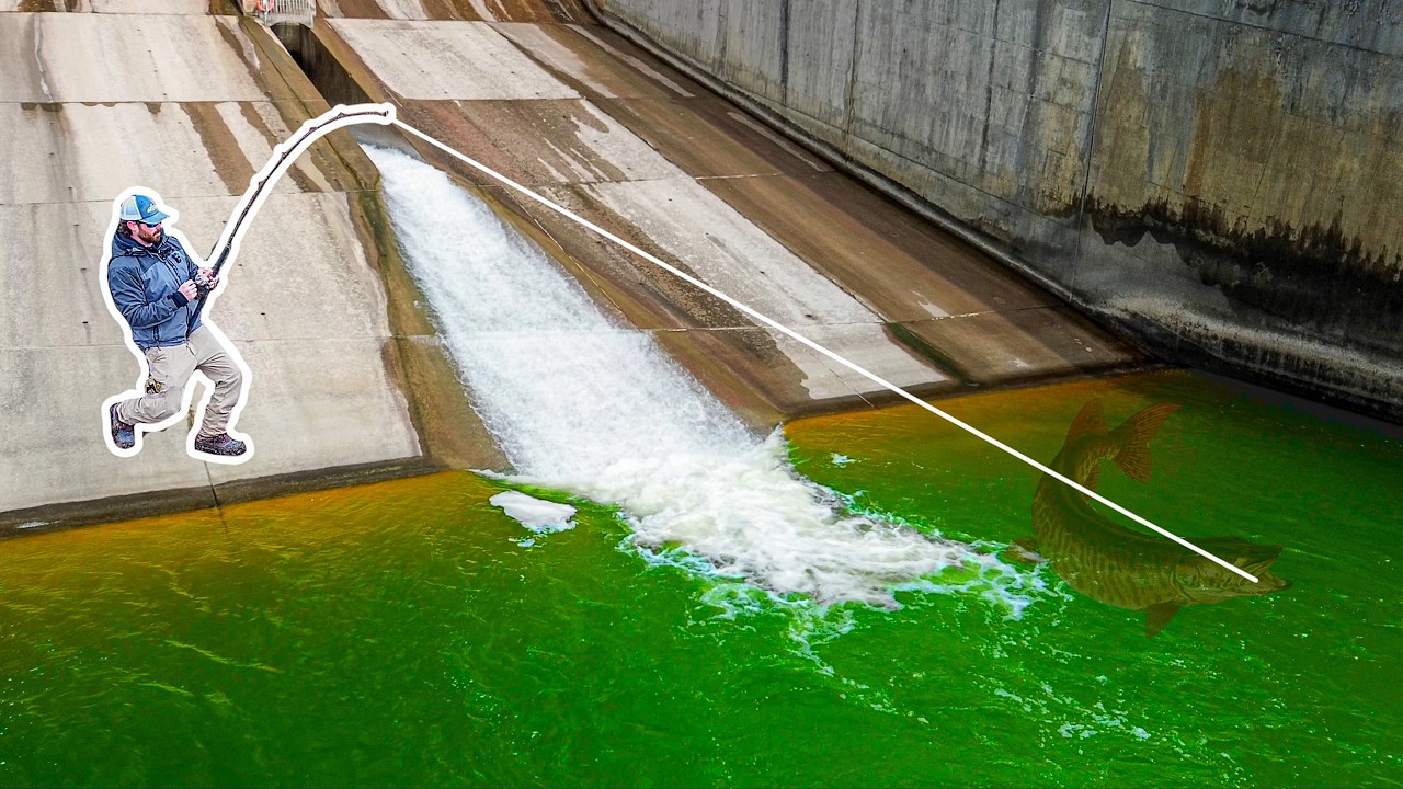 A MONSTEROUSLY RARE Fish Lives Beneath This Spillway!!!