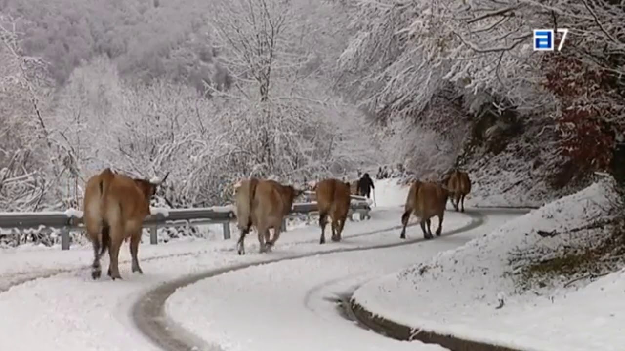 La nieve regresa con fuerza a Asturias