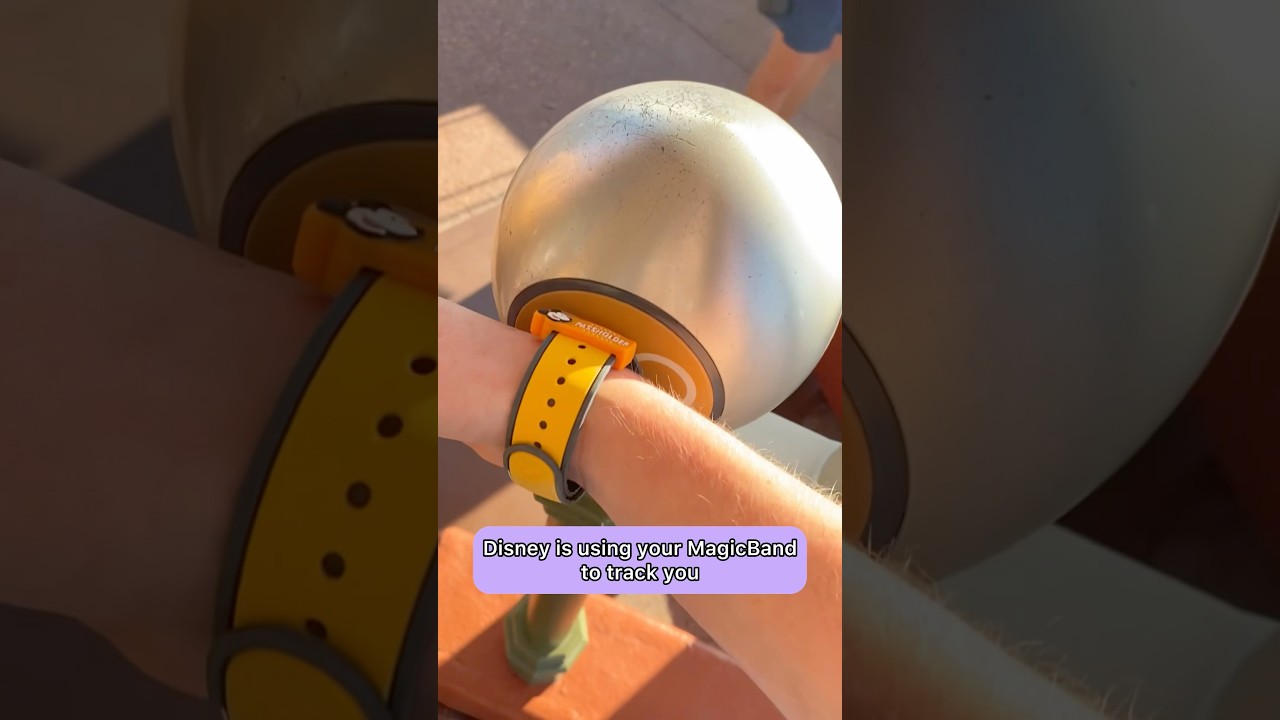 Вот как Disney использует ваш Magic Band для отслеживания вашего местоположения #секретыдиснея #ф...