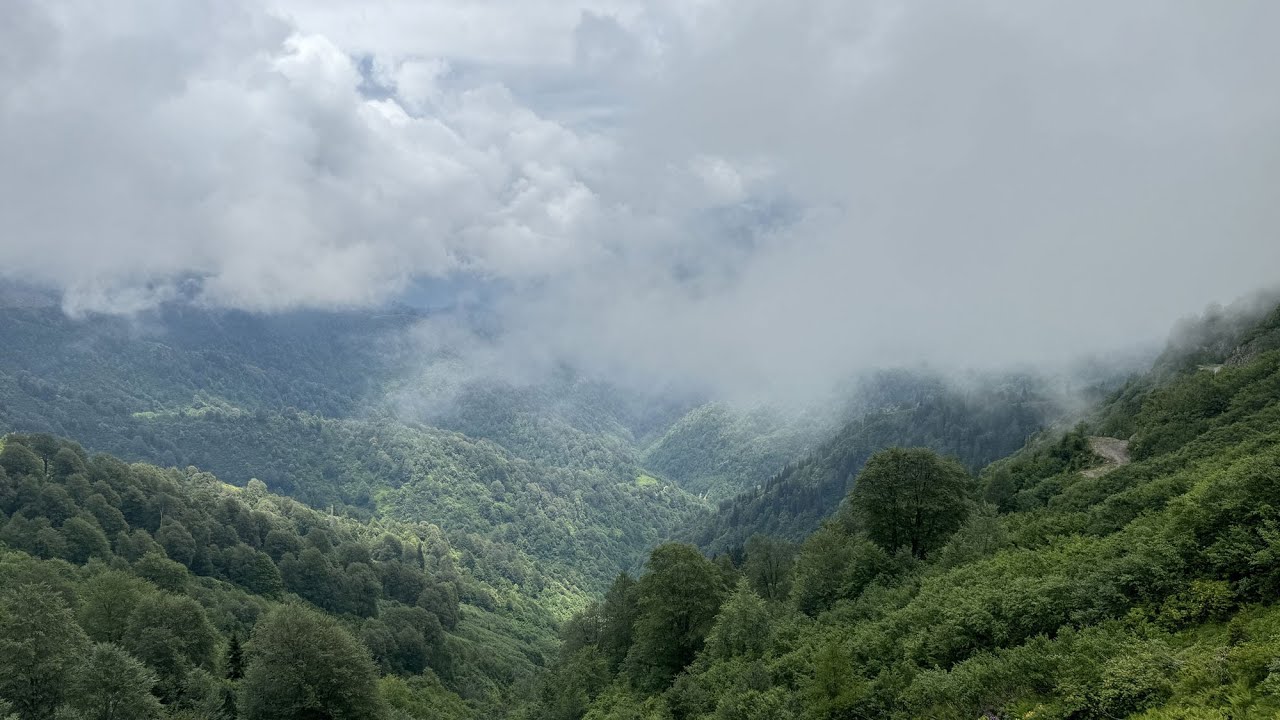 Camili Macahel Havzası Biyosfer Rezerv Alanı