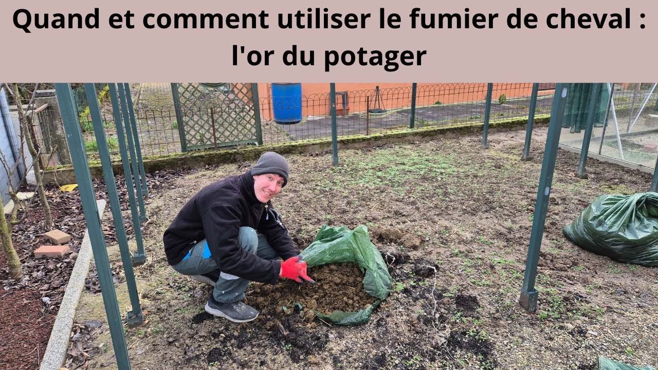 Quand et comment utiliser le fumier de cheval : l'or du potager