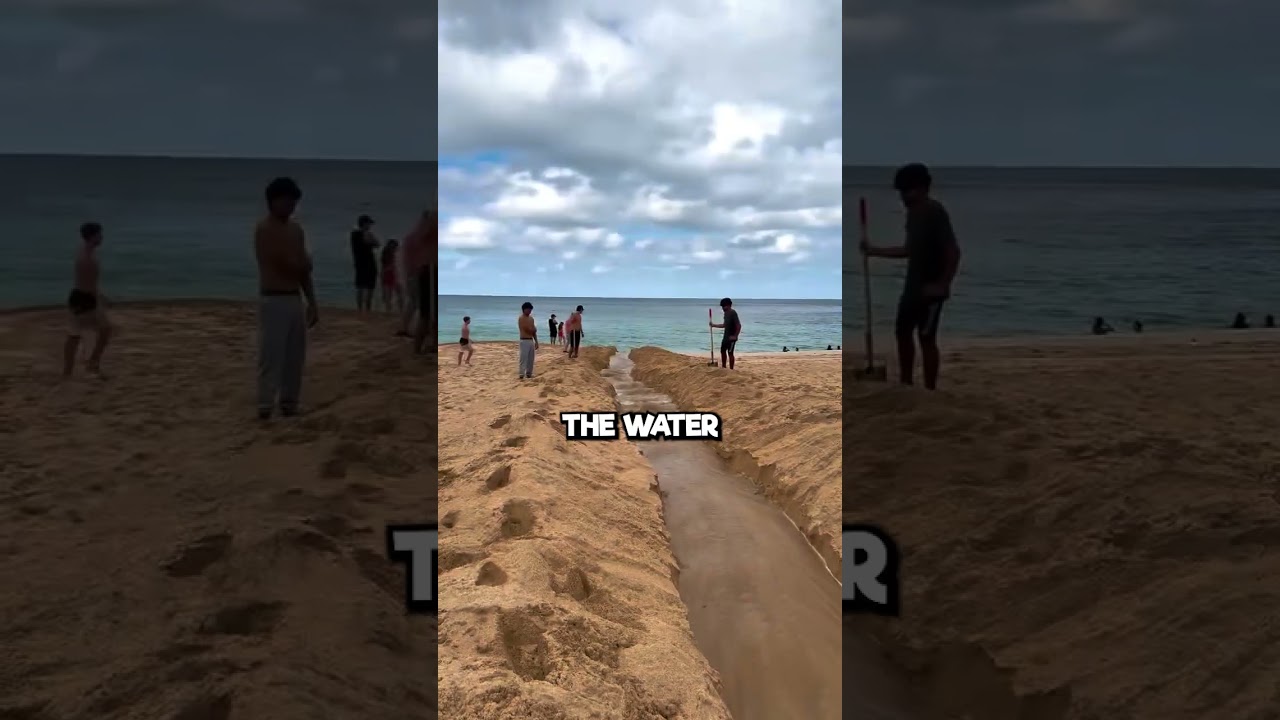 Прокладывание пути от реки к океану 🌊