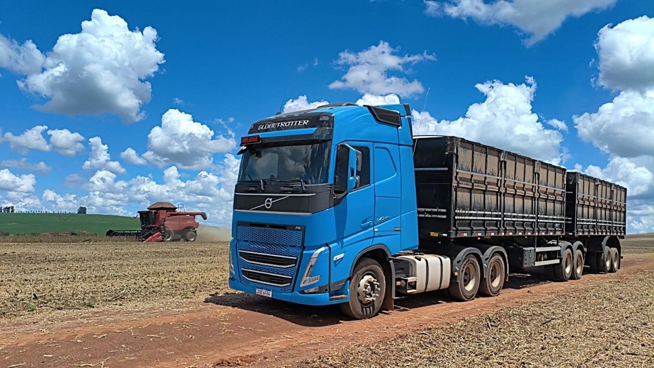 🔴COLHEITA DA SORJA #shortsvideo  #farmingsimulator22 #milho #maquinaspesadas