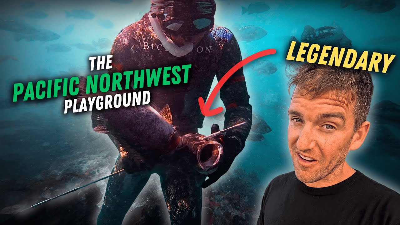 Spearfishing the Kelp Forests of Vancouver Island | Epic PNW Adventure