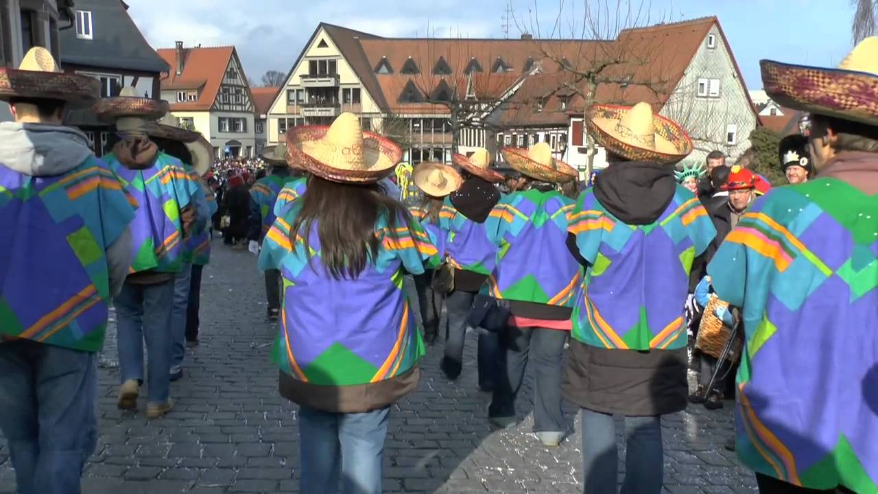 Taunus-Karnevalszug in Oberursel 2014