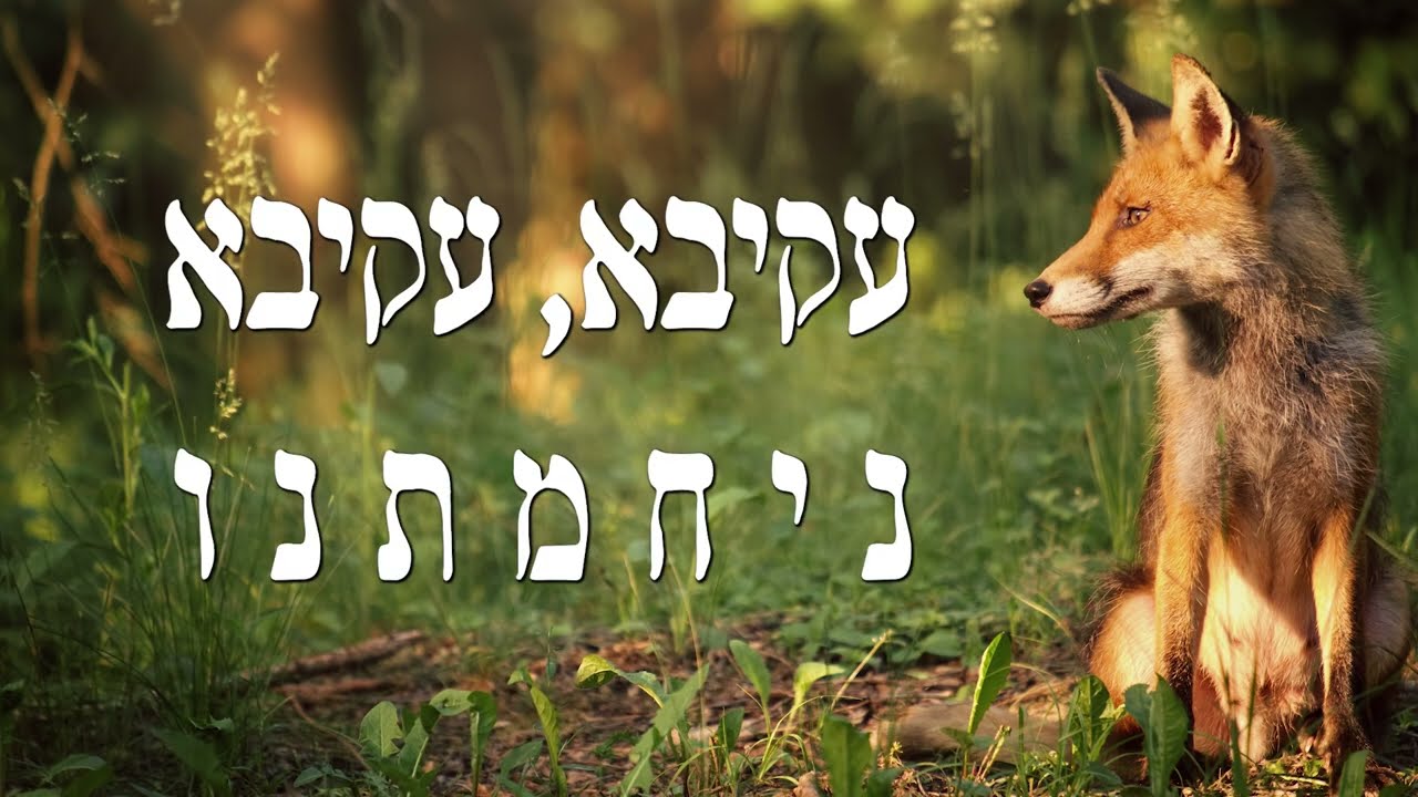 עקיבא ניחמתנו/ ברוך לוין |  Akiva Nichamtanu/ Baruch Levin |  מתורגם לעברית | translated to Hebrew