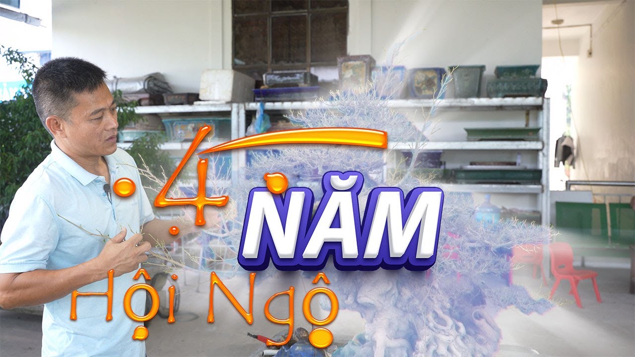 NAMLE BONSAI CHỈNH SỬA MỘT CỐT SANH CỦA EM 