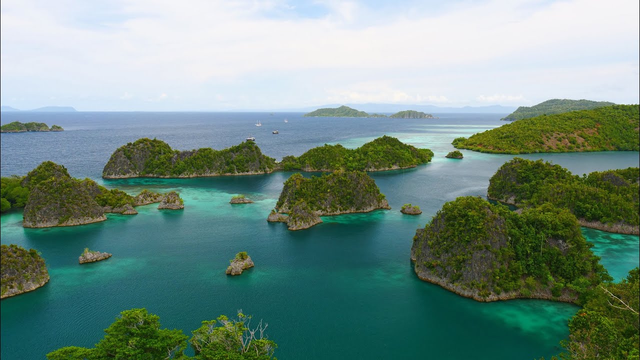 Raja Ampat -Tauchsafari - Liveaboard diving with the Wellenreng